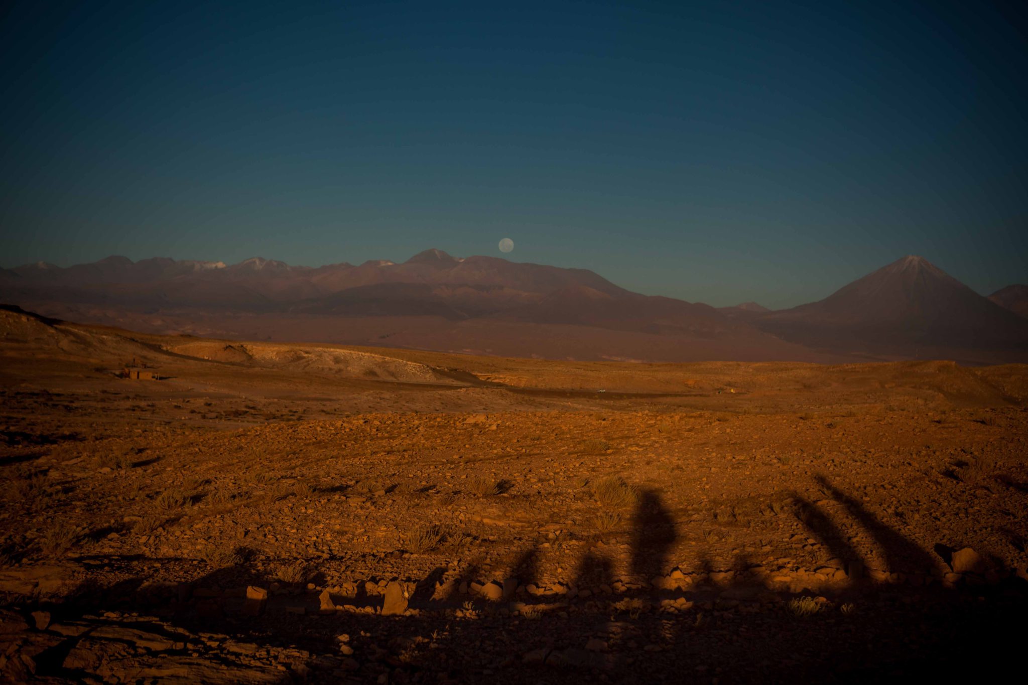 Atacama Yellow f10